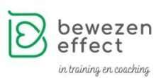 bewezeneffect.inwerker.dev
